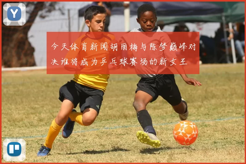 今天体育新闻胡丽梅与陈梦巅峰对决谁将成为乒乓球赛场的新女王